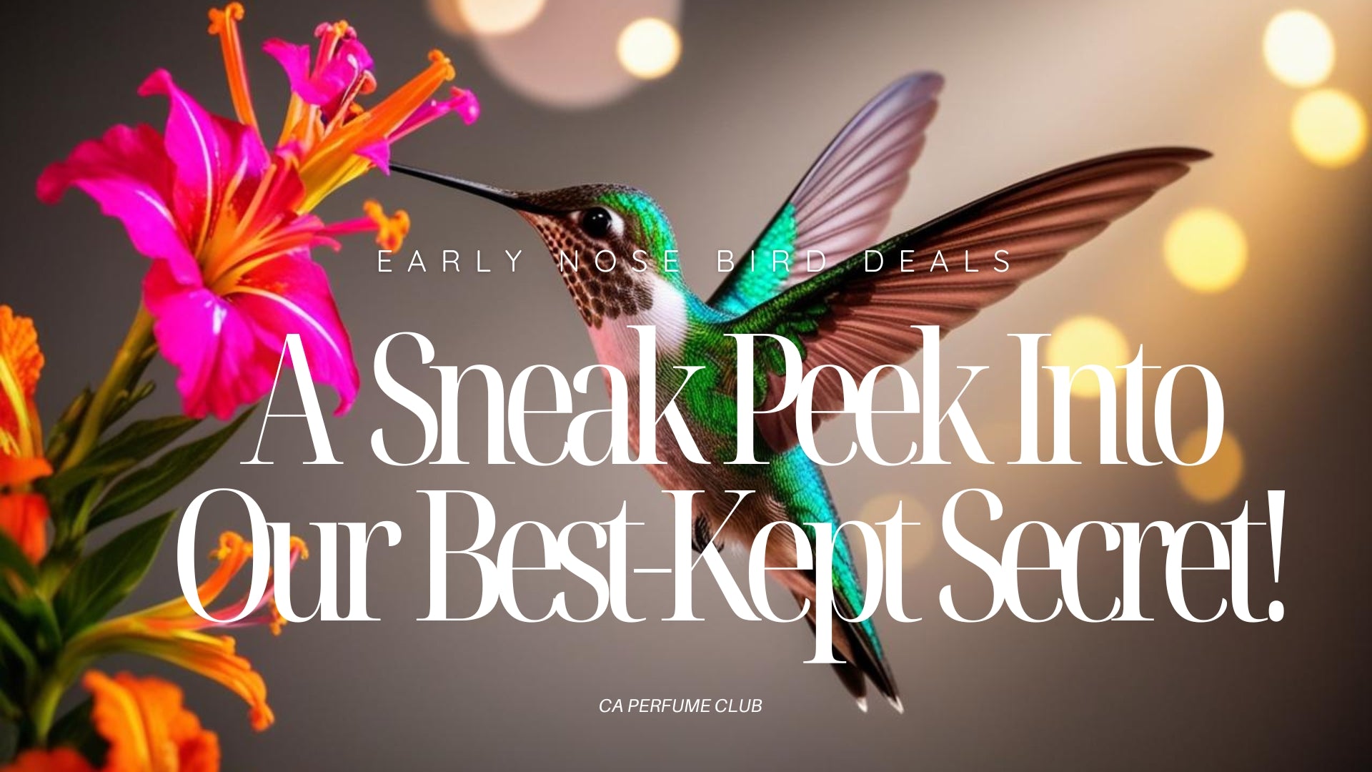 Beautiful view of Nose Secret Parrot Bird Openings