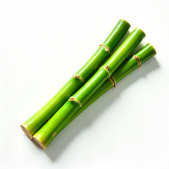 Bamboo