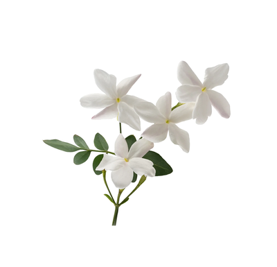 Hedione