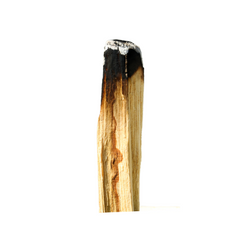 Palo Santo