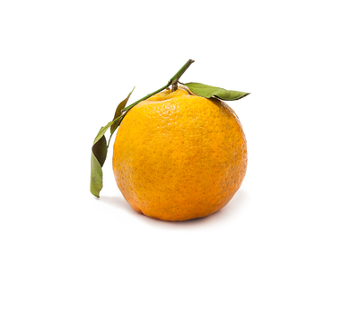 Tangerine