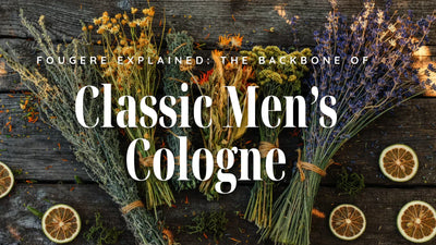 Fougère Explained: The Backbone of Classic Men’s Cologne