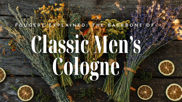 Fougère Explained: The Backbone of Classic Men’s Cologne