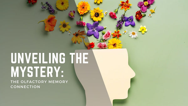 Unveiling the Mystery: The Olfactory Memory Connection