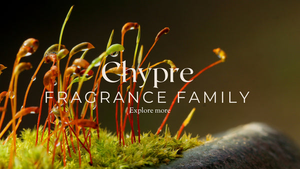 A Journey Through Earthy Elegance and Timeless Sophistication