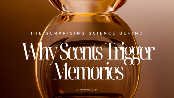 The Surprising Science Behind Why Scents Trigger Memories