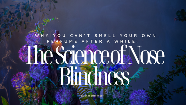 Why You Can’t Smell Your Own Perfume After a While: The Science of Nose Blindness