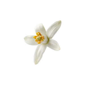 Neroli