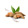 Almond Milk