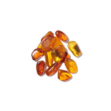 Ambrette Seed