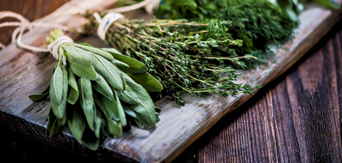 Aromatic Green Fragrance Family