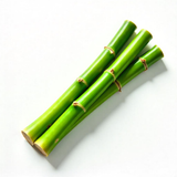 Bamboo