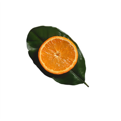 Bitter Orange