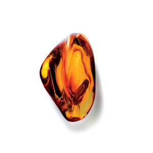 Black Amber