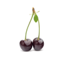 Black Cherry