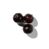 Black Currant