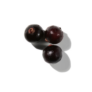 Black Currant