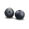 Blueberry