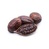 Cacao Pod