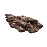 Cambodian Oud