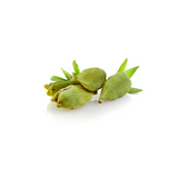 Cardamom