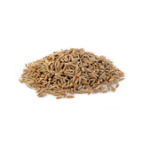 Carrot Seeds
