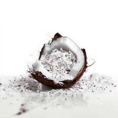 Coconut Powder