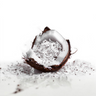 Coconut Powder