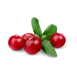 Cranberry