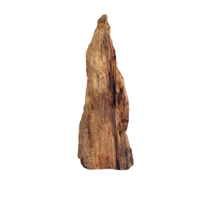 Driftwood