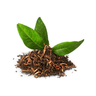 Earl Grey Tea