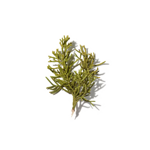 Fir