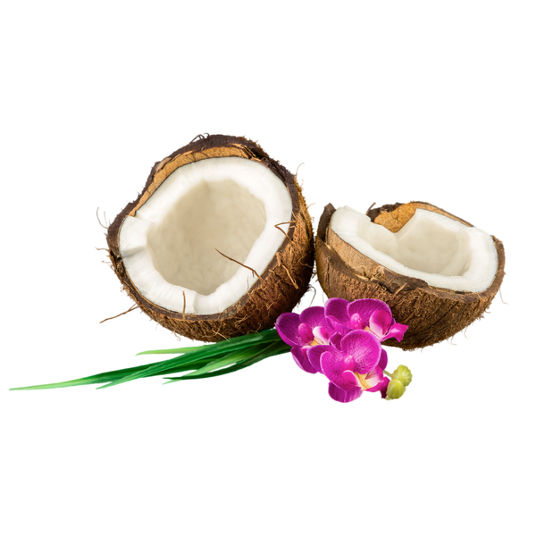 Floral Fruity fragrance family