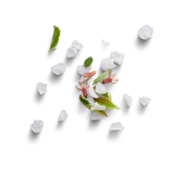 Flower Petals