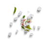 Flower Petals