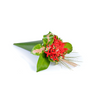 Indian Jasmine