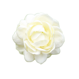 Italian Jasmine