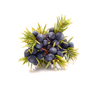 Juniper berry