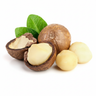 Macadamia
