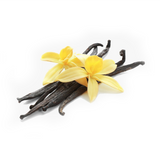 Madagascar Vanilla