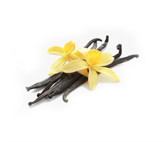 Madagascar Vanilla