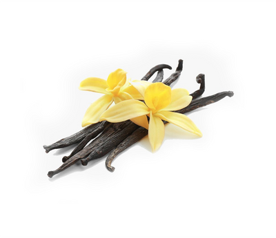 Madagascar Vanilla