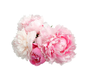 Peony