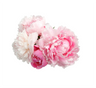 Peony