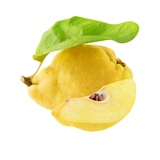 Quince