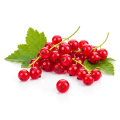 Red Currant