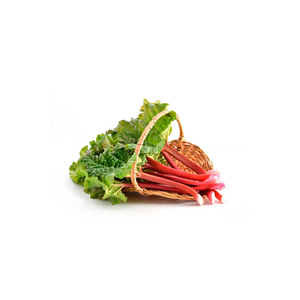 Rhubarb