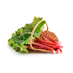 Rhuburb