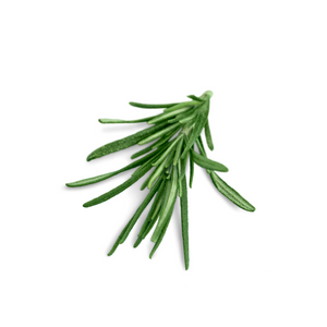 Rosemary