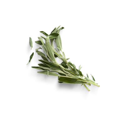 Sage